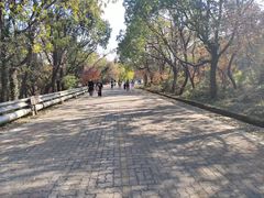 -虞山风景区