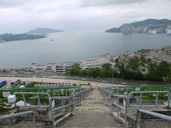 -黄家驹墓
