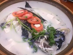 -全乐鱼馆·淳牌有机鱼直营店