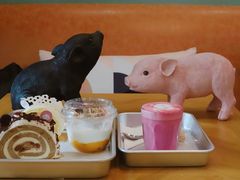 -WHEN PIGS FLY当猪飞