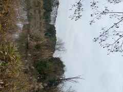 -白鹭湾湿地公园