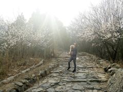 -阳台山自然风景区