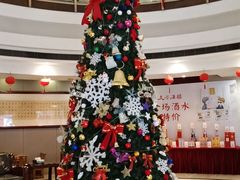 大堂-文杏酒楼(一品天下店)