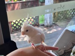 -莫多多餐厅