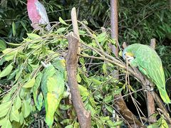 -广州长隆国际大马戏