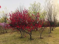 -北京园博大酒店