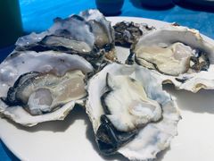 深海黄金蚝大个火锅-千岛蚝高压锅生蚝·人参火锅(白云万达店)