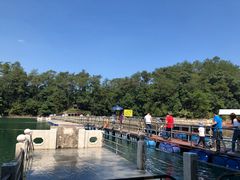 -广州市流溪河国家森林公园
