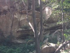 -大岭沟猕猴桃谷风景区