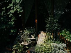 -时光花园(白鹭洲店)