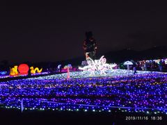-亚龙湾国际玫瑰谷