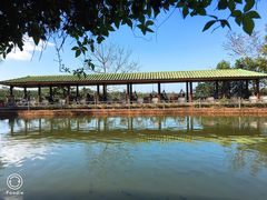 -侯臣咖啡文化村