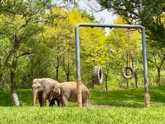 -北京野生动物园