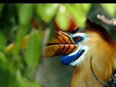 -Chili's Cafe&Bar奇利斯(滨江店)