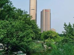 -大望京公园