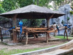 -清迈夜间动物园