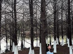 -瑶湖郊野森林公园