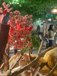 -酷嗒动物文化乐园(cutezoo西溪乐天城店)