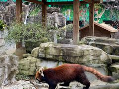 -黔灵山公园