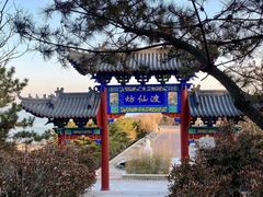-石老人观光园