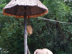 -广州长隆野生动物世界