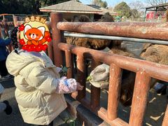 -无锡动物园·太湖欢乐园