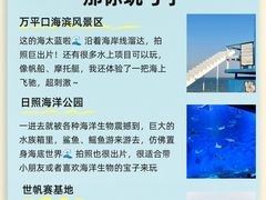 -日照海滨国家森林公园