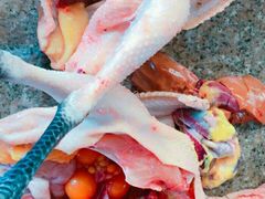 -马陆小张葡萄园农家乐