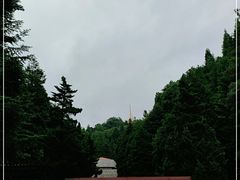 -井冈山革命烈士陵园
