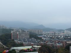 -福道