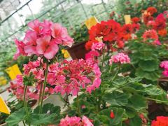 -迪茵湖田家舍生态农场