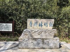 -镇江市南山风景名胜区竹林景区