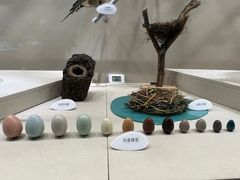 -中国湿地博物馆