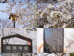 -鸡鸣寺