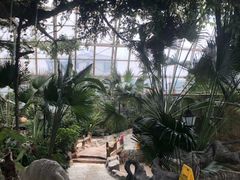 -盛泰恐龙谷温泉