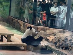 -二一九公园