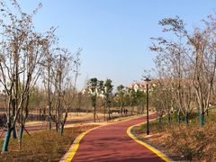 -九龙湖公园