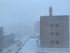 -北海道札幌格兰大酒店