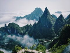 -张家界天门山国家森林公园