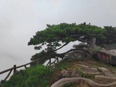 -罗田薄刀峰风景区