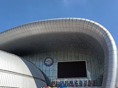 -烟台海昌鲸鲨海洋公园