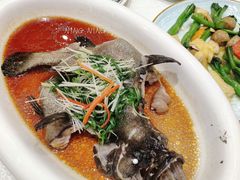 清蒸海石斑-顺德渔村·岭南一号