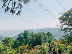 -滴水岩森林公园