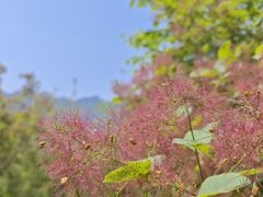 -周口店坡峰岭风景区
