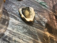 -狮龙啤酒烧烤屋(建二路店)
