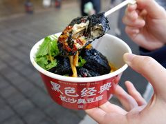 -黑色经典臭豆腐·湖南特产(坡子街店)