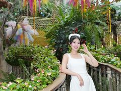 -正佳雨林生态植物园