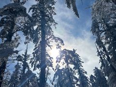 -瓦屋山景区