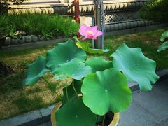 -香积寺