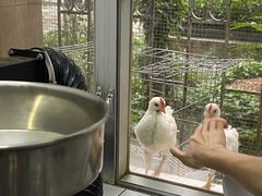 -Again Coffee Roaster(香蜜湖店)